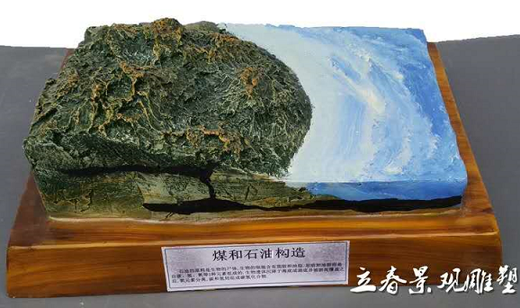 煤和石油构造